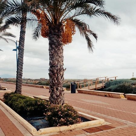 The Beach Across The Street Peñíscola エクステリア 写真